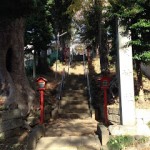 [成増] 高台の住宅地に佇む菅原神社
